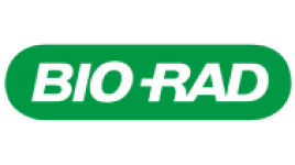 image-13-qws1wmlkx2pvyvjwm7vq9c9gj2dxa6s1fzog8datc0