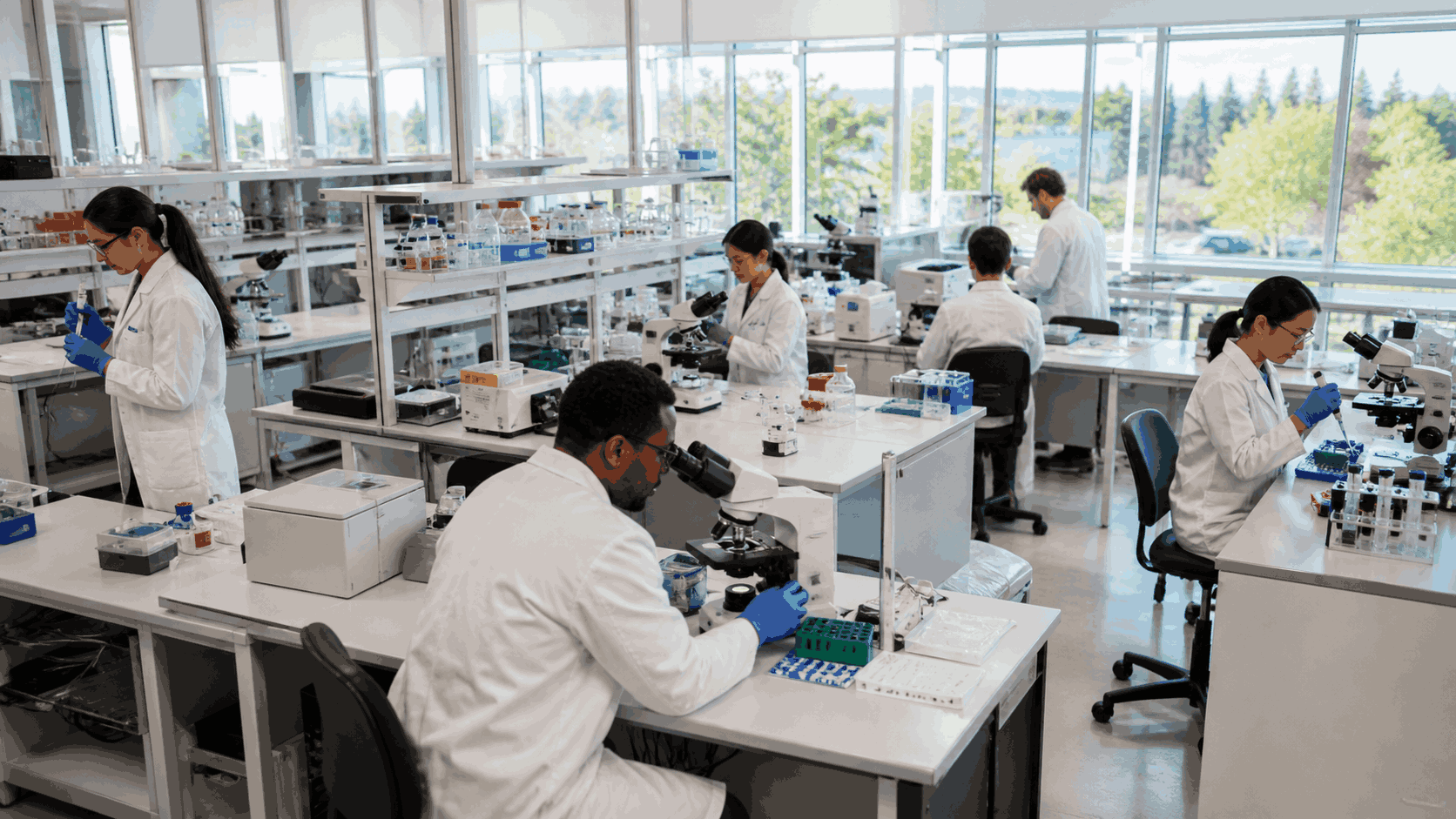 Scientists Working in Wet Lab Space